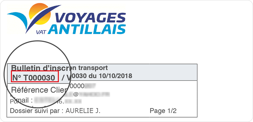 voyage antillais enregistrement en ligne